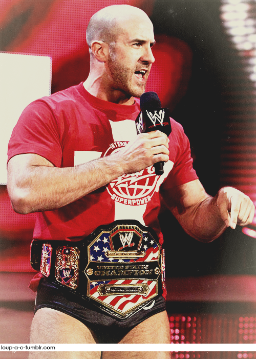 Dean Ambrose Us Champion