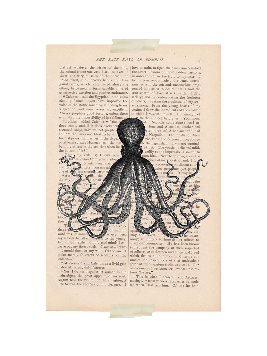 Octopus Pictures To Print