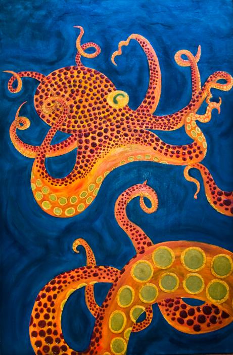 Octopus Pictures To Print